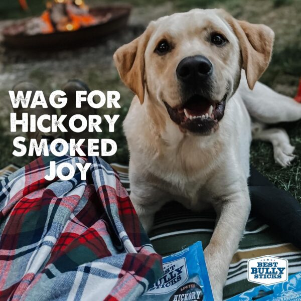 Best Bully Sticks Hickory Smoked Whole Pig Ears - 12 Count (Pack of 1) - No Additives, 100% Pork, Great for Small or Large Breeds - Image 7