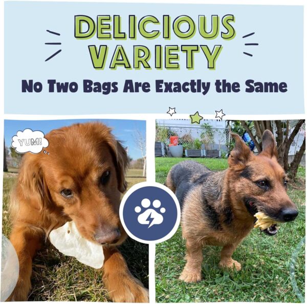 Pawstruck Bizarre Bargain Bag Assorted Natural Dog Chew Treats - Animal Ears, Jerky, Bones, Hooves, Beef Straps - Long Lasting Rawhide Alternative for Chewers, All Breeds - 1 lb, Packaging May Vary - Image 4