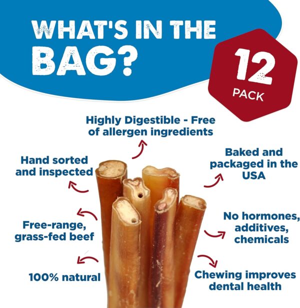 Best Bully Sticks 6 Inch Jumbo Bully Sticks for Dogs - 12 Count (Pack of 1) - Natural Grass-Fed Beef, Single Ingredient, Grain and Rawhide Free Chew, Large Breeds - Image 2