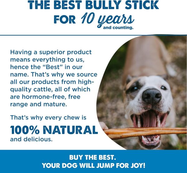 Best Bully Sticks 2-4 Inch Junior Bully Sticks for Dogs - 8 oz (Pack of 1) - Natural Grass-Fed Beef, Grain and Rawhide Free, Small Breeds, Puppies - Image 6