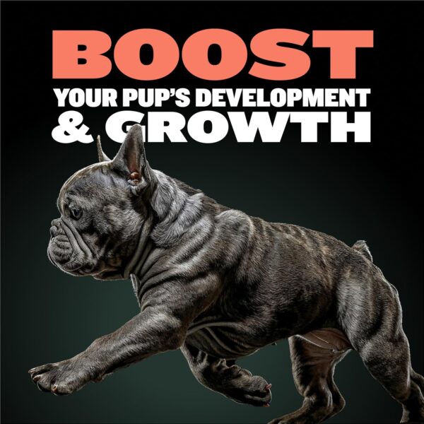 Bully Max 2-in-1 Puppy Vitamins - 30 Chewable Tablets for Development and Growth of Puppies - Dog Treats, Vitamin & Supplements for Small Dogs & Large Breed Growing Pups - Can Be Used as Food Topper - Image 3
