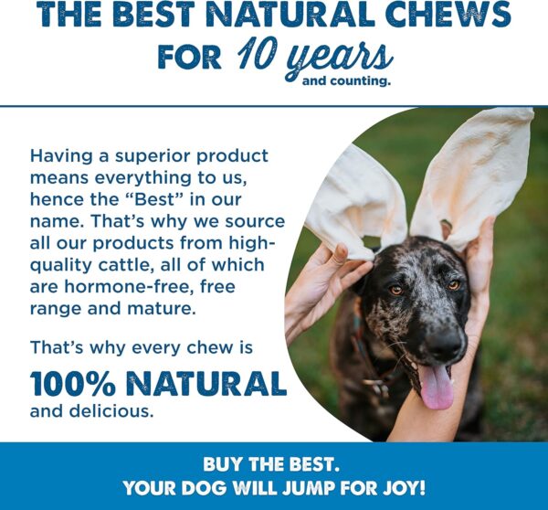 Best Bully Sticks Thick-Cut Cow Ears - 12 Count (Pack of 1) - All-Natural, Free-Range Grass-Fed, Single Ingredient, High Protein, Easily Digestible, Great for Various Breeds - Image 7