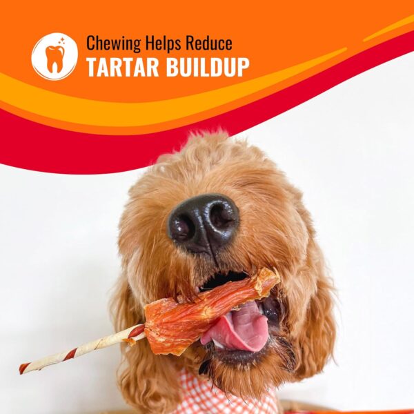 Good ‘n’ Fun Triple Flavor Kabobs Chews for All Dogs, 24 Ounces, Treat Your Dog to Chews Made from Beef Hide, Real Chicken, Pork Hide, Duck and Chicken Liver - Image 5