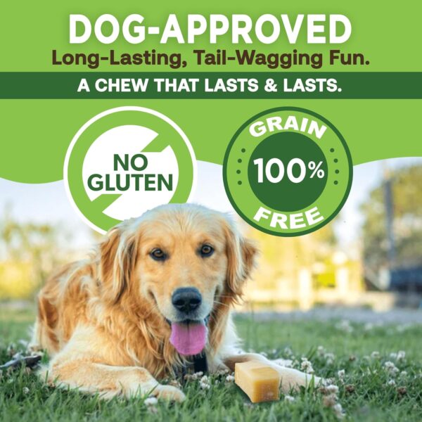 EcoKind Premium Gold Yak Cheese Himalayan Dog Chews, Dog Treats Large Breed, All Natural, High Protein, for Aggressive Chewers, Large - 4 Chews (1 lb) - Image 5