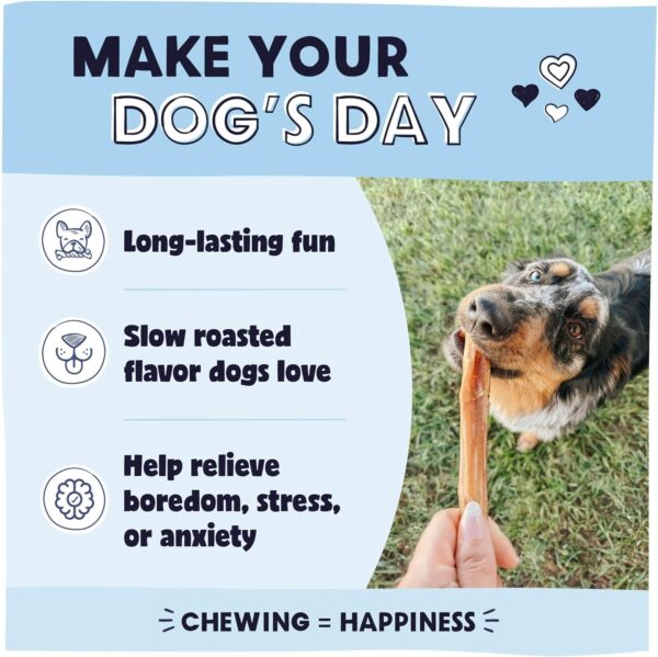 Pawstruck Natural 5-8" Bully Sticks for Dogs - Best Long-Lasting, Rawhide-Free, Low Odor Dental Chew Treat - Healthy Single Ingredient, 100% Real Beef - 8 oz Bag - Packaging May Vary - Image 2