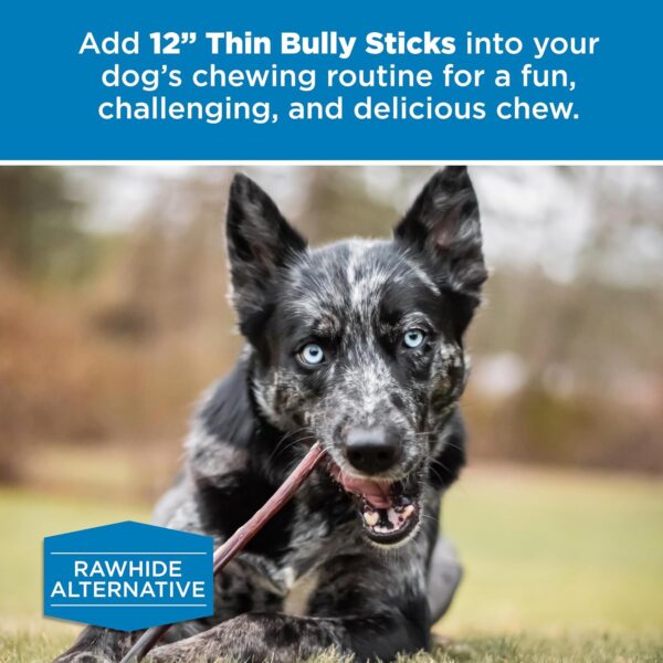 Best Bully Sticks 12 Inch Thin Bully Sticks for Dogs - 24 Count (Pack of 1) - Natural Grain and Rawhide Free, Puppies, Seniors, Small Breeds - Image 6