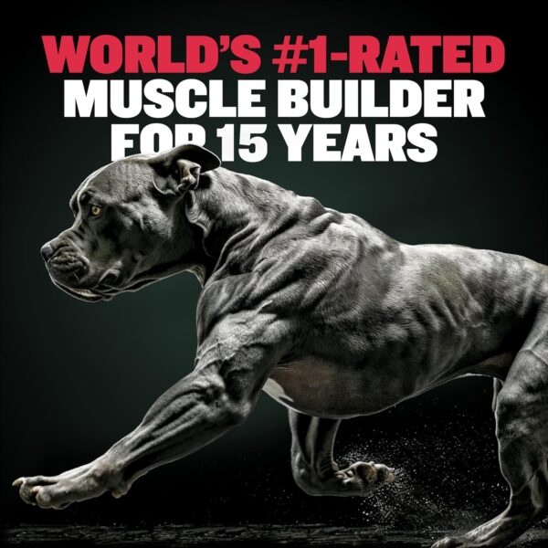 Bully Max 3-in-1 Liquid Dog Muscle Builder for Puppy and Adult Dogs - Dog Vitamins & Supplements for Performance, Energy, Recovery, Immune Support, Skin, Coat Health - Canine Supplement for All Breeds - Image 3