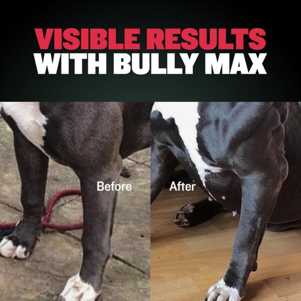 Bully Max 3-in-1 Liquid Dog Muscle Builder for Puppy and Adult Dogs - Dog Vitamins & Supplements for Performance, Energy, Recovery, Immune Support, Skin, Coat Health - Canine Supplement for All Breeds - Image 2