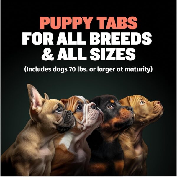 Bully Max 2-in-1 Puppy Vitamins - 30 Chewable Tablets for Development and Growth of Puppies - Dog Treats, Vitamin & Supplements for Small Dogs & Large Breed Growing Pups - Can Be Used as Food Topper - Image 2