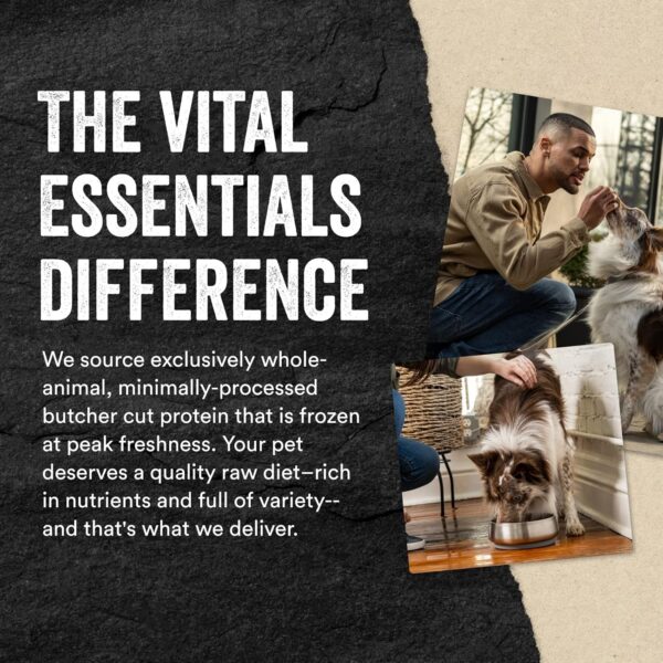 Vital Essentials Bully Sticks Dog Treats, 1.4 oz | Freeze-Dried Raw | Single Ingredient | Premium Quality High Protein Training Treats | Grain Free, Gluten Free, Filler Free - Image 6