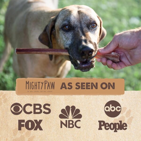 Mighty Paw Naturals 12" Bully Sticks for Dogs - Grass Fed Beef Chews. Dog Bully Sticks for Large Dogs, Medium and Small Breeds. Lower Odor Treats for Small Pets. Single Ingredient - Image 2