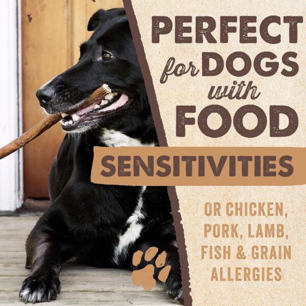 Mighty Paw Naturals 12" Bully Sticks for Dogs - Grass Fed Beef Chews. Dog Bully Sticks for Large Dogs, Medium and Small Breeds. Lower Odor Treats for Small Pets. Single Ingredient - Image 7