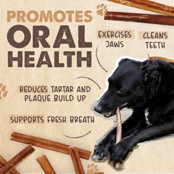 Mighty Paw Naturals 12" Bully Sticks for Dogs - Grass Fed Beef Chews. Dog Bully Sticks for Large Dogs, Medium and Small Breeds. Lower Odor Treats for Small Pets. Single Ingredient - Image 6