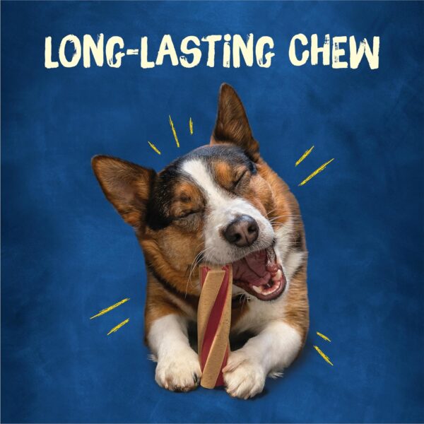 Purina Busy with Beggin’ Twist’d Adult Dog Chew Bone Treats - 6 ct. Pouch - Image 3