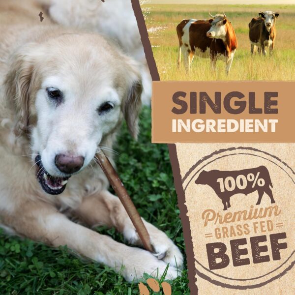 Mighty Paw Naturals 12" Bully Sticks for Dogs - Grass Fed Beef Chews. Dog Bully Sticks for Large Dogs, Medium and Small Breeds. Lower Odor Treats for Small Pets. Single Ingredient - Image 4