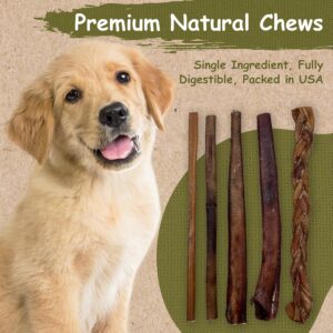 Top Dog Chews 6" Bully Sticks - 25 Pack, All-Natural, Roasted, Sourced from Free-Range Beef, High Protein, Low Fat Dog Chews for Healthy Teeth, Gums & Chewing Satisfaction.
