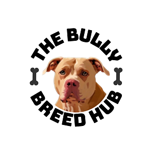 The Bully Breed Hub