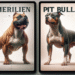 American Bullies vs. Pit Bulls: Unpacking the Differences