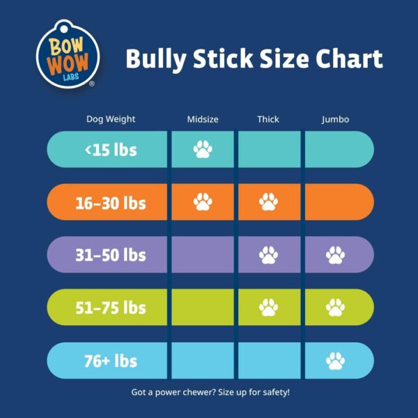 Bow Wow Labs 6" Bully Sticks for Dogs | 100% All Natural, Grass-Fed, Free-Range Beef | Low Odor | Long Lasting Chews | SafeFit | 10 Pack (Midsize) - Image 5