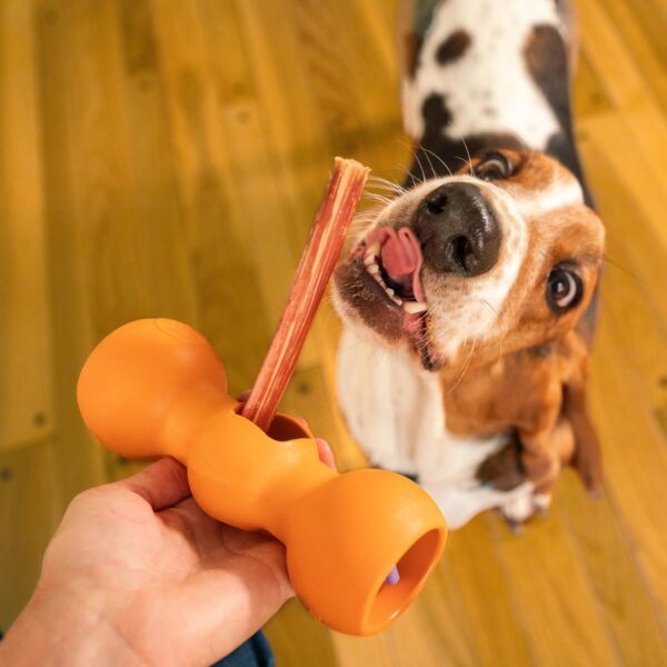 Bow Wow Labs 6" Bully Sticks for Dogs | 100% All Natural, Grass-Fed, Free-Range Beef | Low Odor | Long Lasting Chews | SafeFit | 10 Pack (Midsize) - Image 3