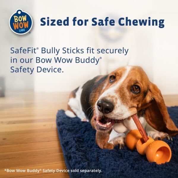 Bow Wow Labs 6" Bully Sticks for Dogs | 100% All Natural, Grass-Fed, Free-Range Beef | Low Odor | Long Lasting Chews | SafeFit | 10 Pack (Midsize) - Image 6