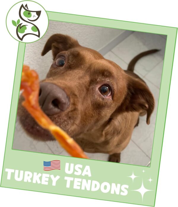 Nature Gnaws USA Turkey Tendons for Dogs (4oz) - Delicious Grain Free Reward Snack for Small, Medium & Large Breeds - Premium Natural Dog Chew Treats - Image 6