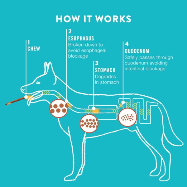 Collagen Sticks - 5" Collagen Sticks for Dogs - Long Lasting Healthy Joint Support Dog Treat - Rawhide Alternative - Skin & Coat Health - Made with Real Beef, 1 Bag, 15 Count - Image 6