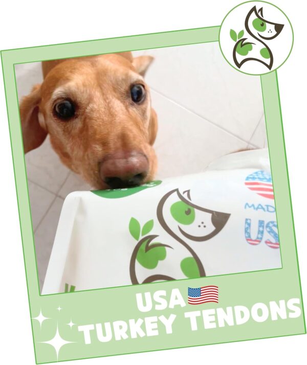 Nature Gnaws USA Turkey Tendons for Dogs (4oz) - Delicious Grain Free Reward Snack for Small, Medium & Large Breeds - Premium Natural Dog Chew Treats - Image 7