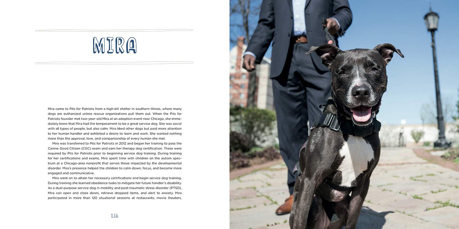 Pit Bull Heroes: 49 Underdogs with Resilience and Heart - Image 5
