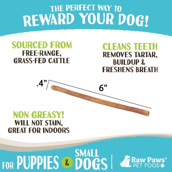Raw Paws Thin Bully Sticks for Small Dogs, 6-Inch (20 Count) - Low Odor Bully Chews for Puppies - Free-Range Pizzle Sticks for Dogs - Single Ingredient Dog Chews - Rawhide Alternative - Long Lasting - Image 3