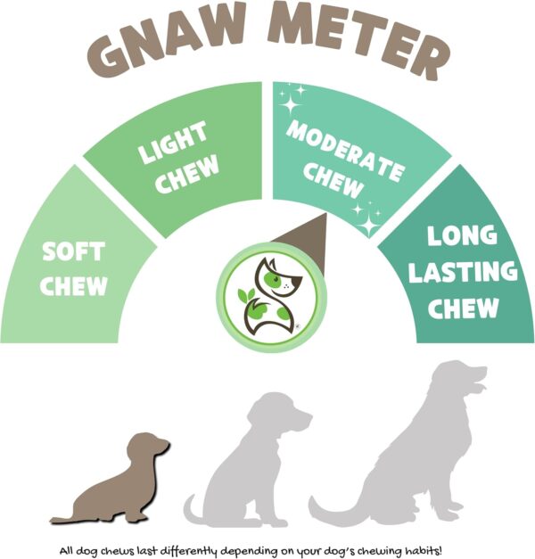 Nature Gnaws Extra Thin Pork Bully Sticks for Small Dogs 5-6" (15 Count) - Long Lasting for Light Chewers and Puppies - Natural Bacon Dog Chew Treats - Image 3