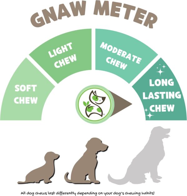 Nature Gnaws Braided Bully Sticks for Dogs 5-6" (10 Count) - Long Lasting for Small and Medium Dogs - Natural Beef Dog Chew Bones - Rawhide Free - Image 3