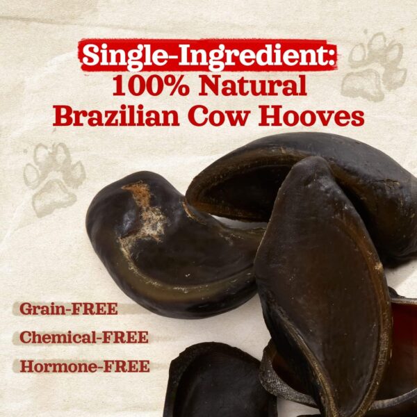 Natural Farm Cow Hooves (6 Pack), Odor-Free, All Natural Sourced from Farm-Raised Beef Hoof Dog Treats, Great Alternative to Bully Sticks or Rawhide, Dental Chew for Small, Medium, Large Breeds - Image 4