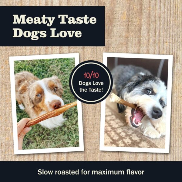 Redbarn Pet Products All Natural 5-8" Bully Sticks for Small & Large Dogs - Healthy Long Lasting Chews Variety Party Pack - 100% Beef Single Ingredient Low Odor Rawhide Free Dental Treats - 8 oz Bag - Image 5