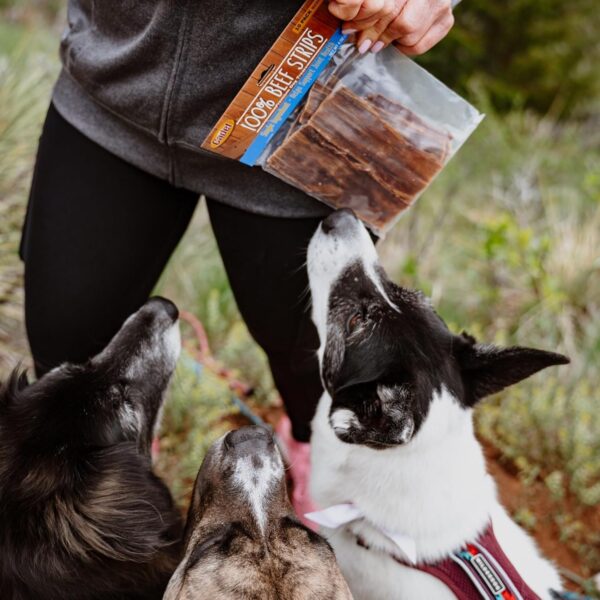 Cadet 100% Beef Strips Dog Chew Sticks, Long-Lasting Single-Ingredient Natural Treats, High-Protein, Perfect for Small & Large Breeds, 12 oz - Image 2