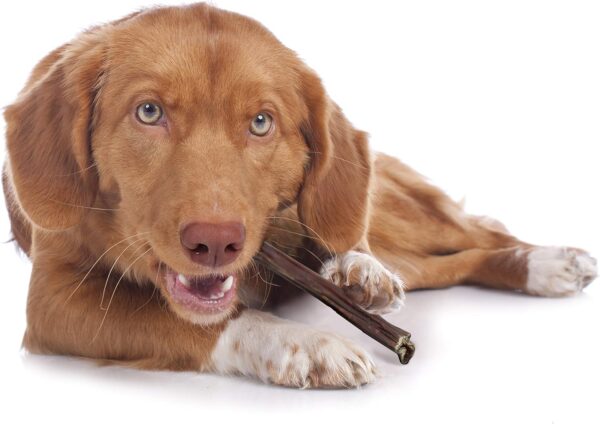 Cadet 100% Beef Strips Dog Chew Sticks, Long-Lasting Single-Ingredient Natural Treats, High-Protein, Perfect for Small & Large Breeds, 12 oz - Image 7