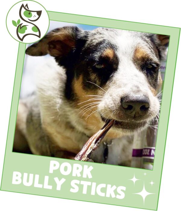 Nature Gnaws Extra Thin Pork Bully Sticks for Small Dogs 5-6" (15 Count) - Long Lasting for Light Chewers and Puppies - Natural Bacon Dog Chew Treats - Image 6