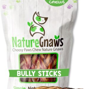 Nature Gnaws Braided Bully Sticks for Dogs 5-6" (3 Count) - Long Lasting for Small and Medium Dogs - Natural Beef Dog Chew Bones - Rawhide Free