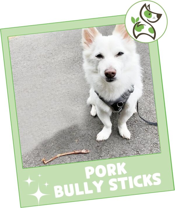 Nature Gnaws Extra Thin Pork Bully Sticks for Small Dogs 5-6" (15 Count) - Long Lasting for Light Chewers and Puppies - Natural Bacon Dog Chew Treats - Image 7