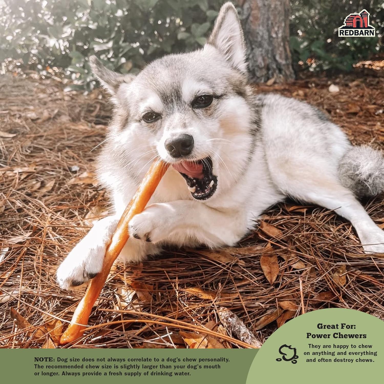 Redbarn Pet Products All-Natural Large 12" Beef Collagen Sticks for Dogs - Long Lasting Low-Odor Alternative to Traditional Rawhide & Bully Sticks - Supports Healthy Joints, Skin, & Coat - 3 Pack - Image 6