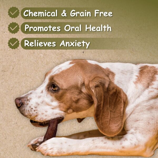 Top Dog Chews - 12 Inch Standard 12 Pack Bully Sticks, Long Lasting, 100% Natural Beef, Free Range Grass Fed, High Protein, Supports Dental Health Dog Treat, 12 Pack - Image 3