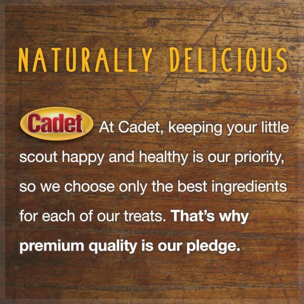 Cadet 100% Beef Strips Dog Chew Sticks, Long-Lasting Single-Ingredient Natural Treats, High-Protein, Perfect for Small & Large Breeds, 12 oz - Image 5