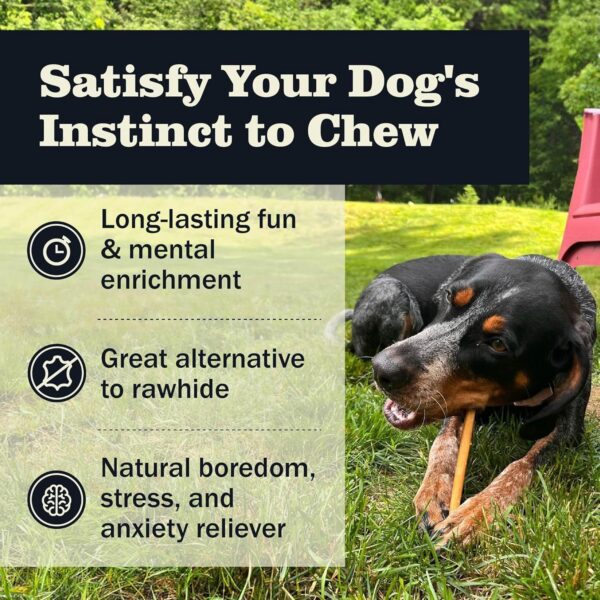 Redbarn Pet Products All Natural 5-8" Bully Sticks for Small & Large Dogs - Healthy Long Lasting Chews Variety Party Pack - 100% Beef Single Ingredient Low Odor Rawhide Free Dental Treats - 8 oz Bag - Image 3