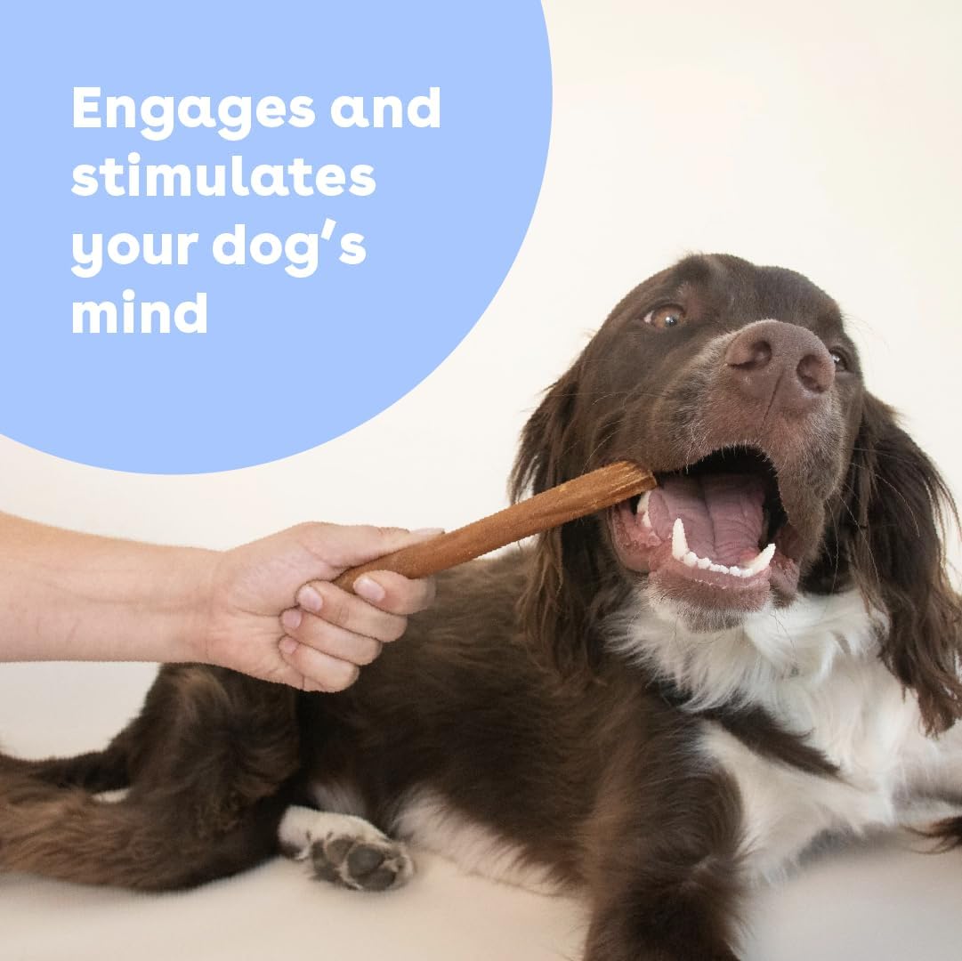 Pupford Collagen Stick Chews for Dogs & Puppies, All Natural, Healthy, Bully Stick and Bone Alternative Treat (6", 4 Pack) - Image 3