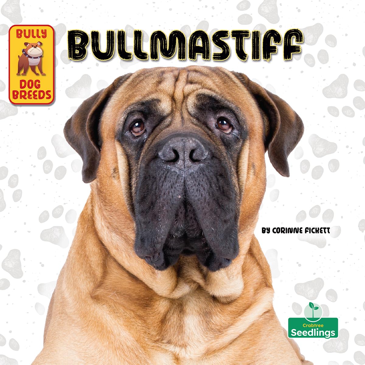 Bullmastiff (Bully Dog Breeds)