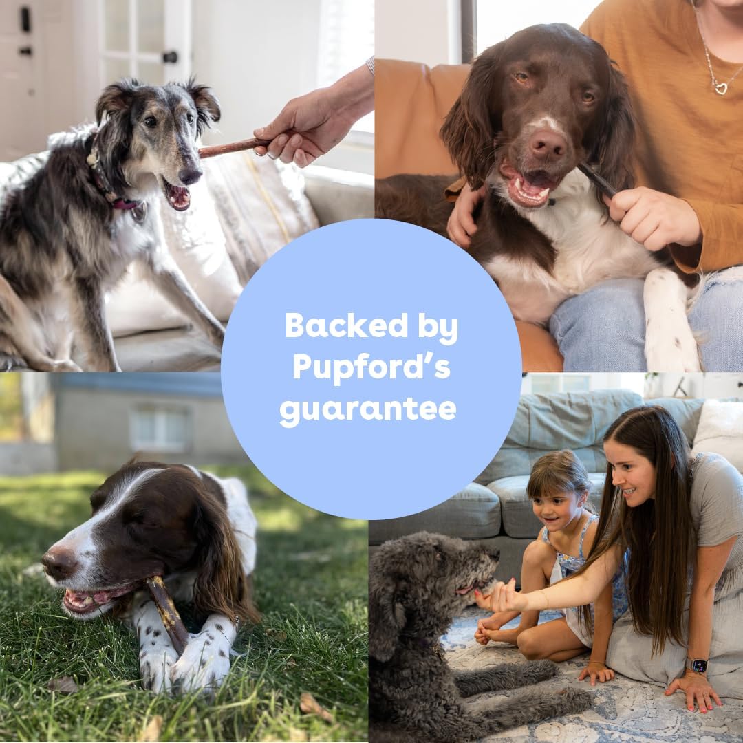 Pupford Collagen Stick Chews for Dogs & Puppies, All Natural, Healthy, Bully Stick and Bone Alternative Treat (6", 4 Pack) - Image 7