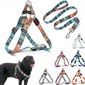 Dog Harness and Leash Set, Pretty Pattern No-Pull Pet Halter Puppy Vest Outdoor Easy Walk for Small Medium Large Breed Pug Bully Mastiff Dogs Female Male, Ethnic Small