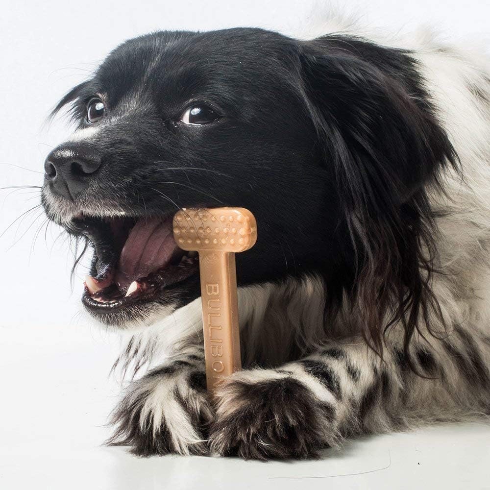 Bullibone Nylon Dog Chew Toy Nylon Bone - Improves Dental Hygiene, Easy to Grip Bottom, and Permeated with Flavor (Bacon, Small - 2 Pack) - Image 6