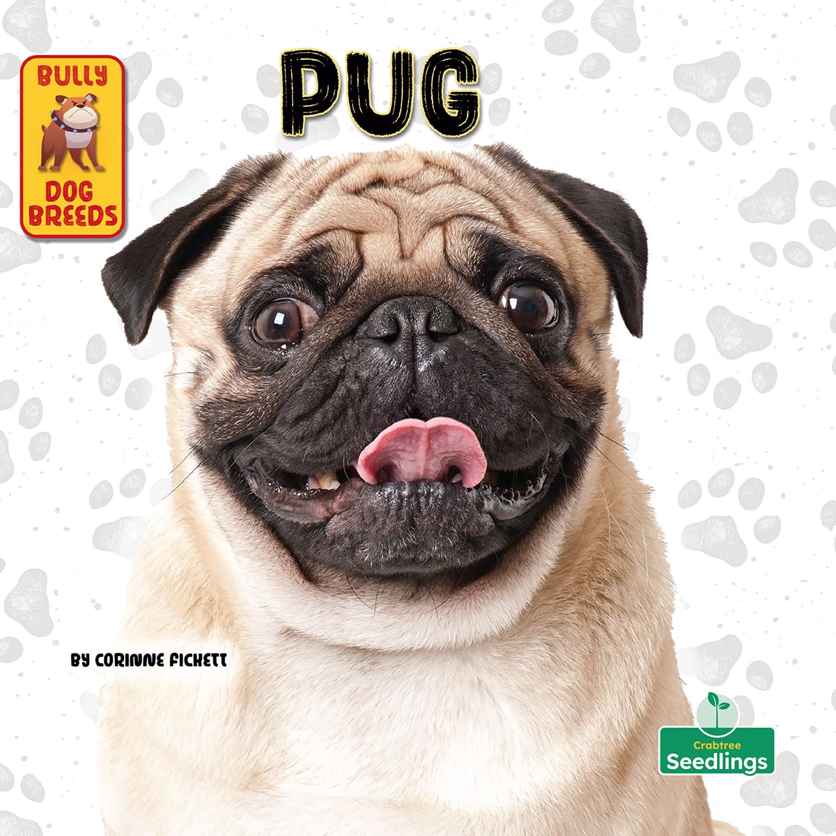 Pug (Bully Dog Breeds)