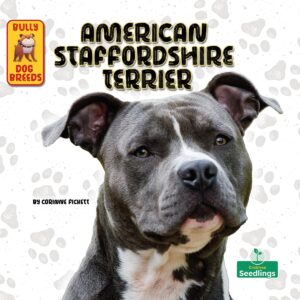 American Staffordshire Terrier (Bully Dog Breeds)